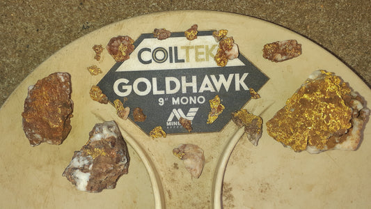Top 2024 Finds: 5oz Nugget Uncovered with GPX 6000 in NSW