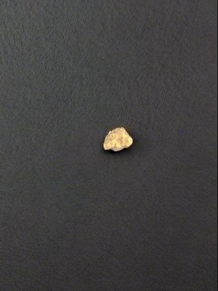 Gold Nugget 0.573 Grams