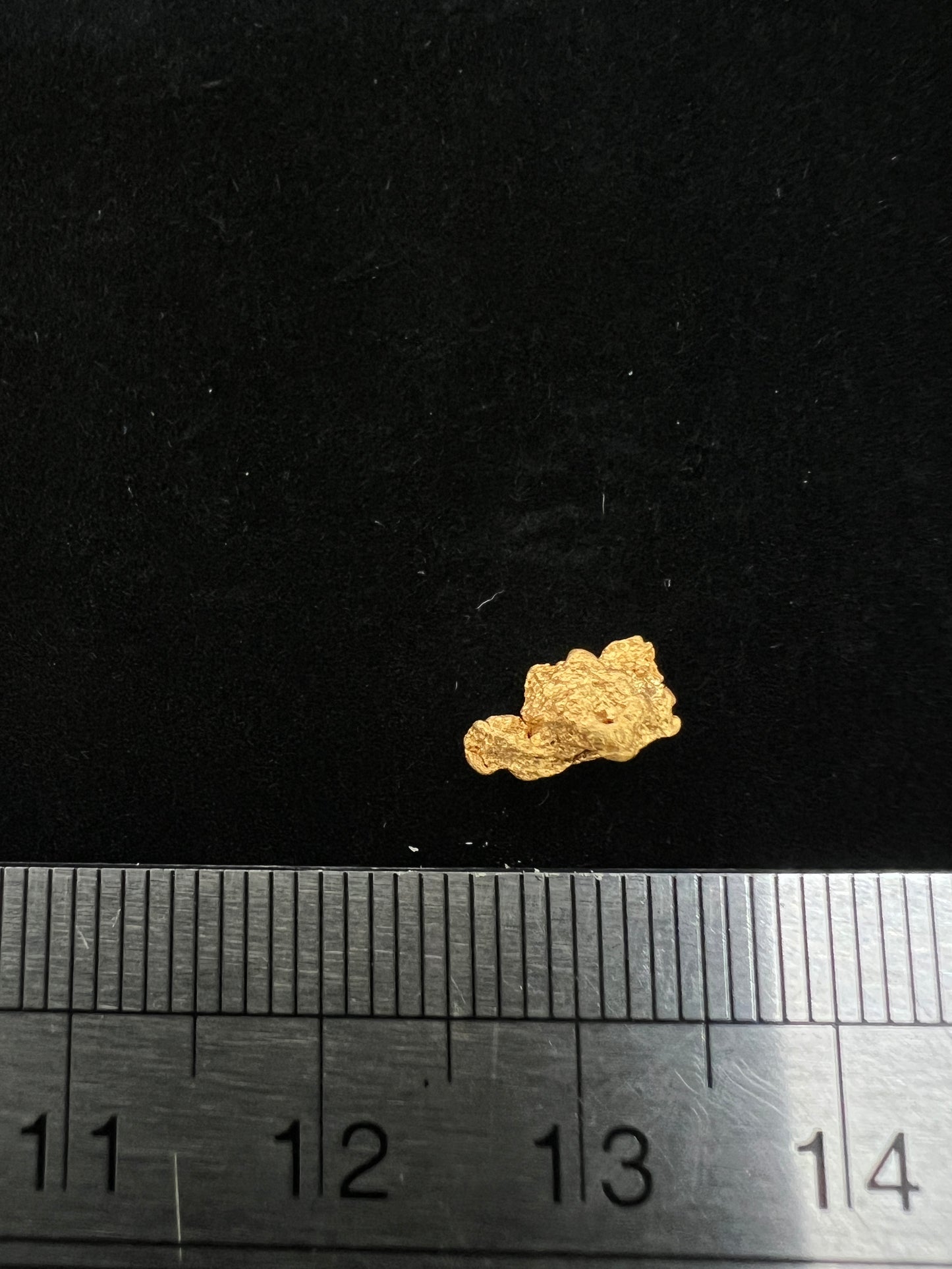Gold Nugget 0.64 Grams