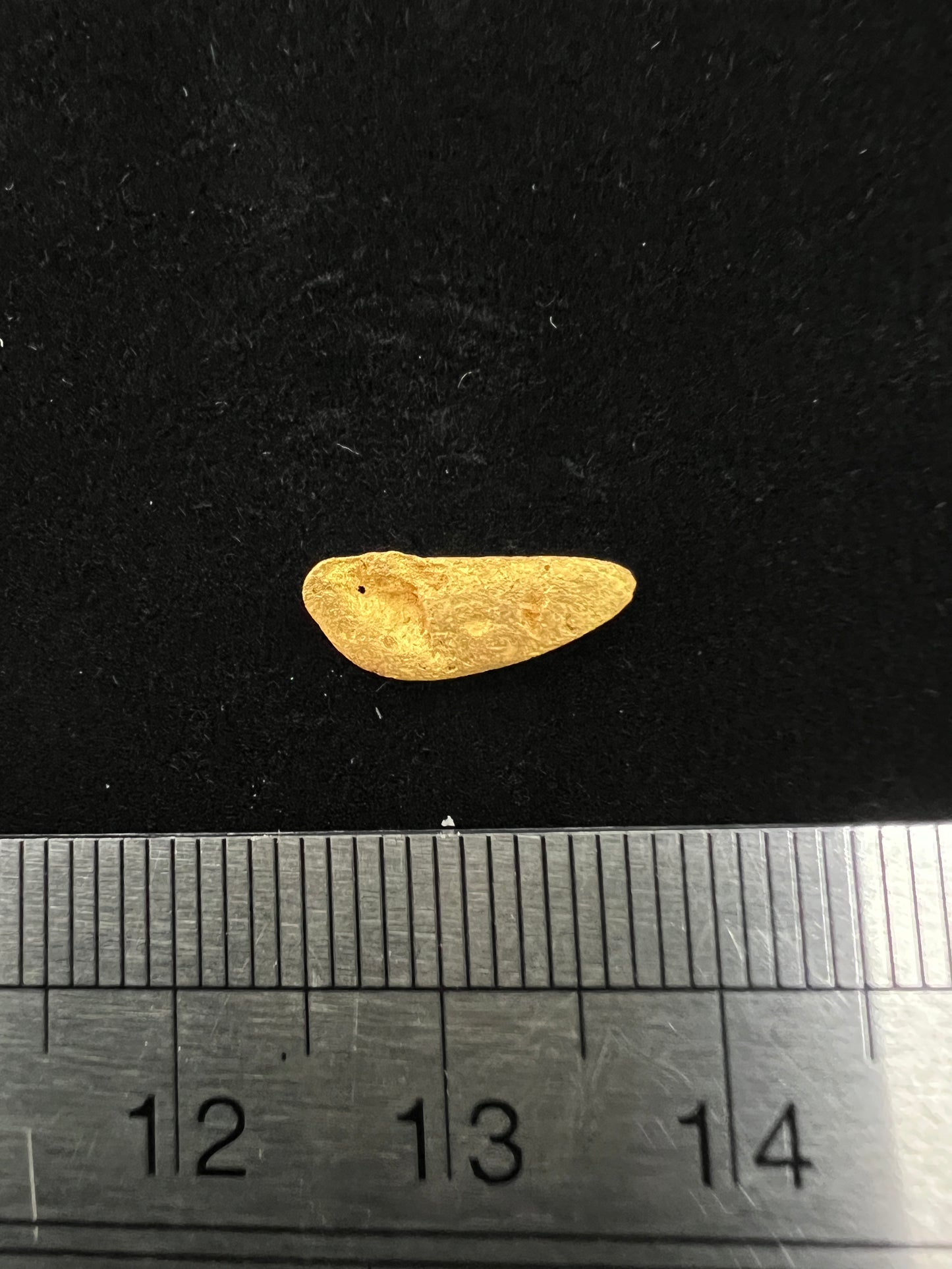 Gold Nugget 0.70 Grams