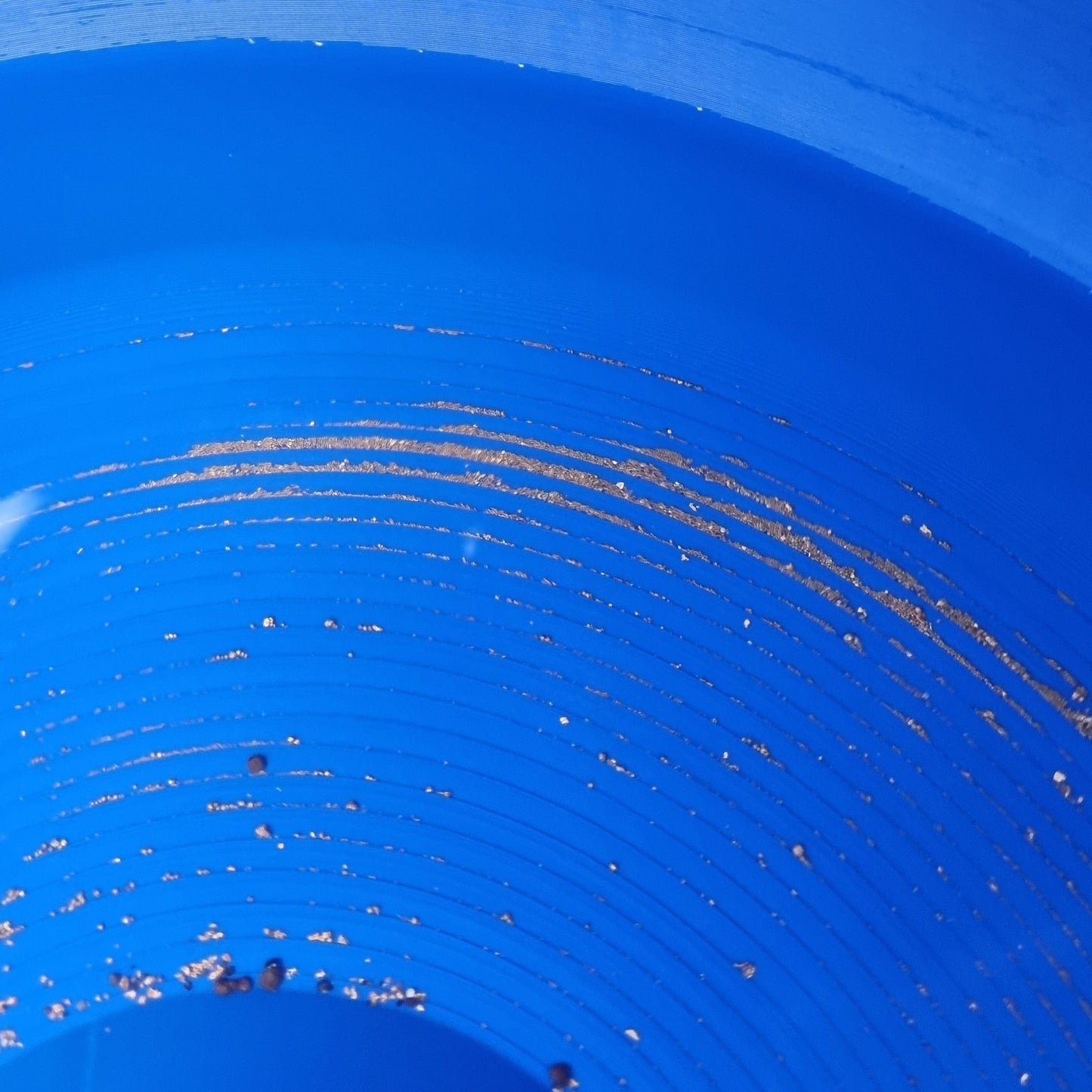 Blue Bowl VortexPro with Upgraded Pump & Hose