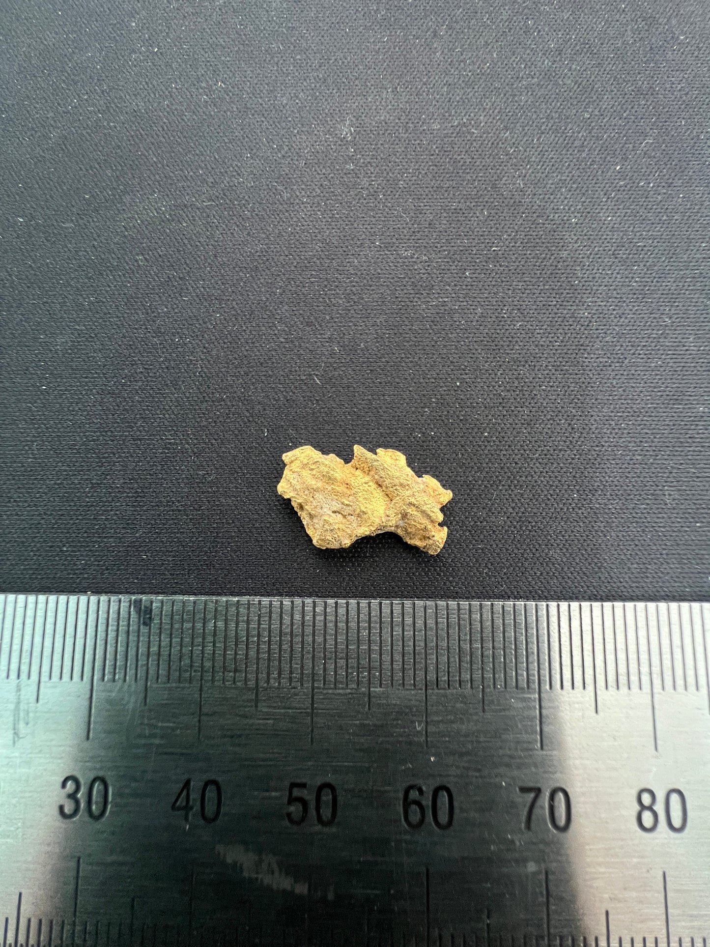 Gold Nugget 2.66 Grams (Pick Up Only)