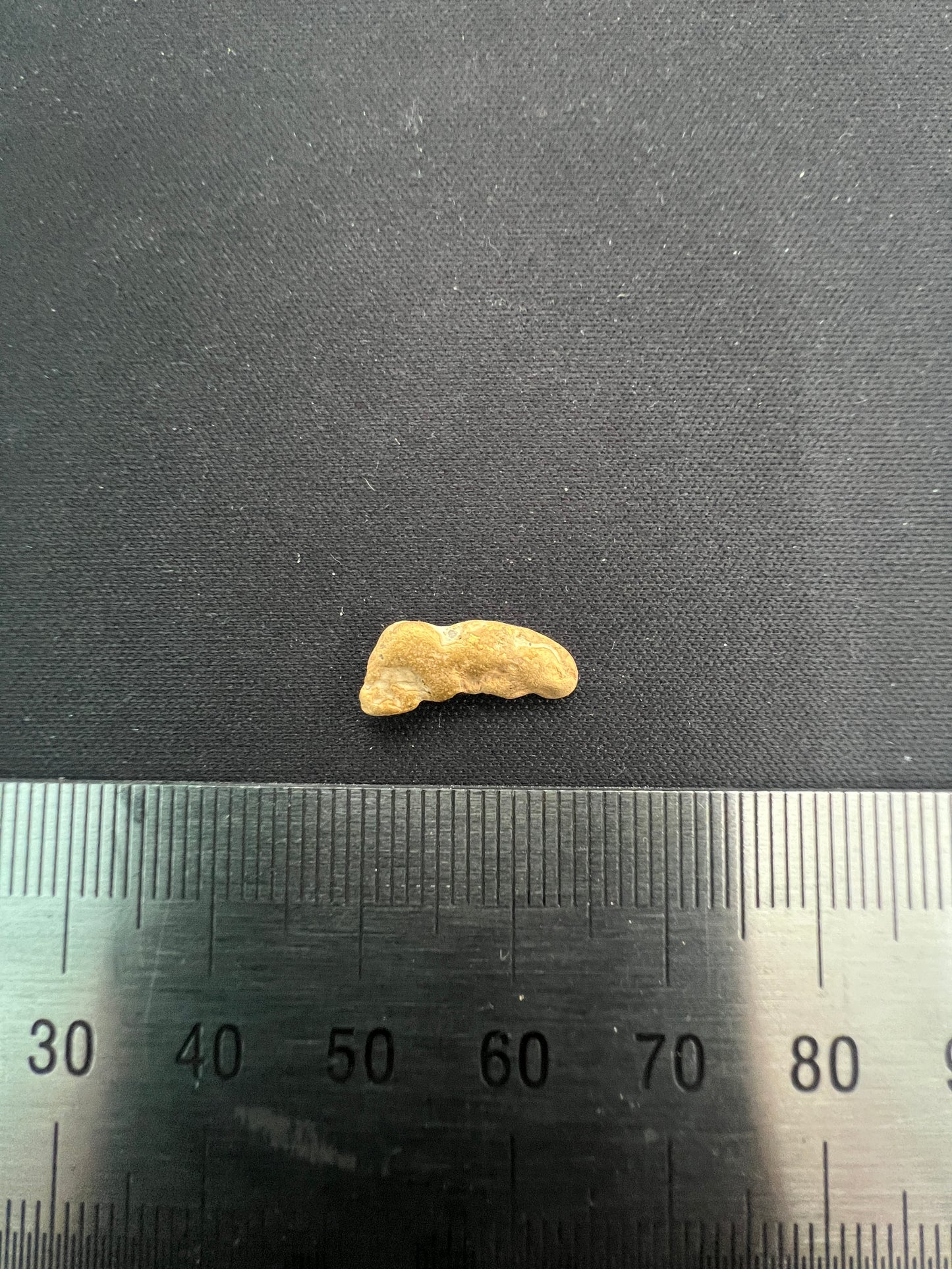 Gold Nugget 1.95 Grams (Pick Up Only)