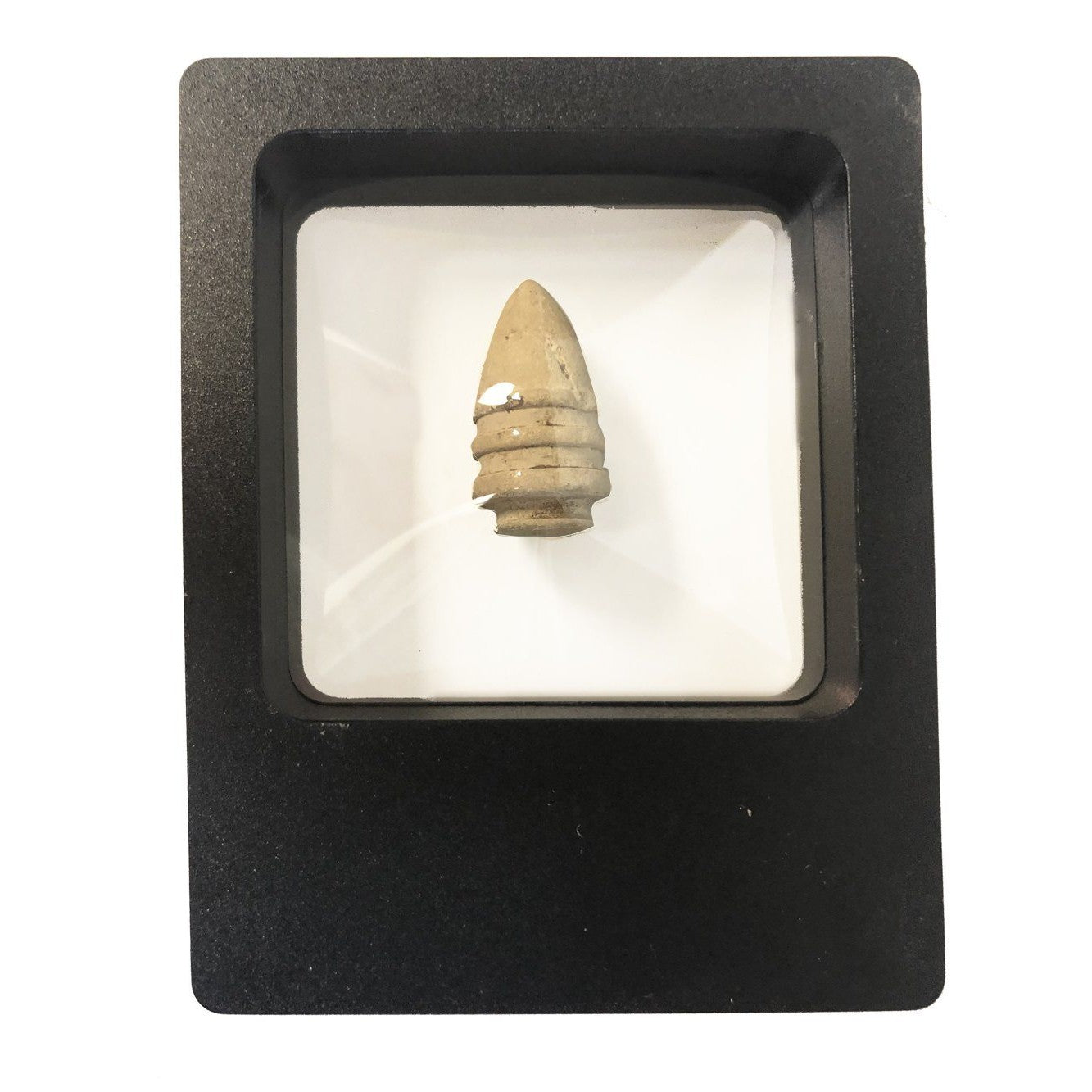 Treasure Finds Display Box 2-Way-Lucky Strike Gold