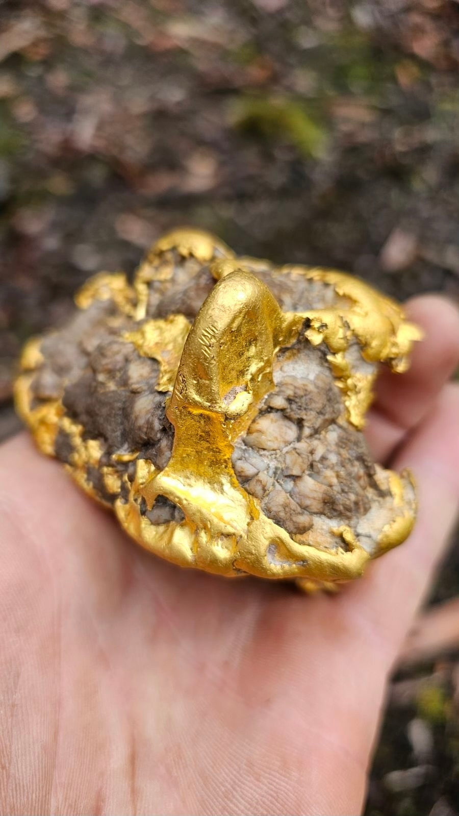 $100K Gold Nugget Found Near Ballarat