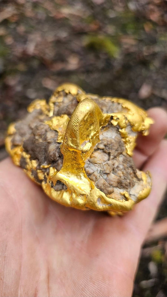 $100K Gold Nugget Found Near Ballarat