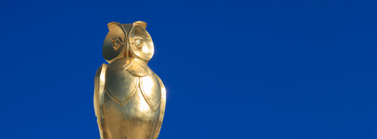 The Golden Owl: A Treasure Hunt for the Ages
