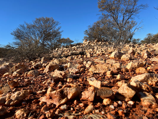Aussie Mates Strike It Big with $161k Nugget in Outback WA