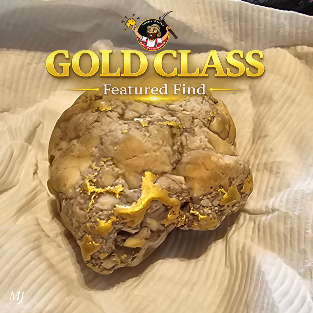727g Gold Specimen Found in NSW