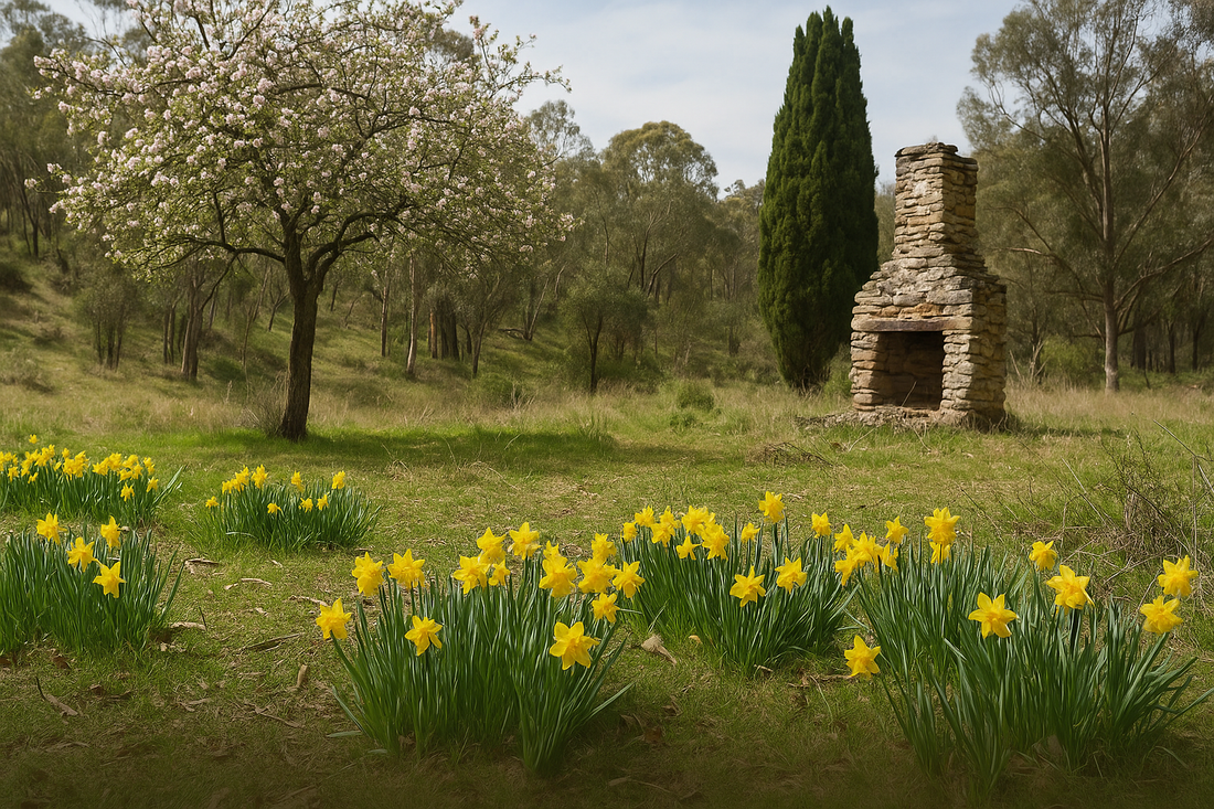 How Blooming Bushland Can Reveal Goldfields History