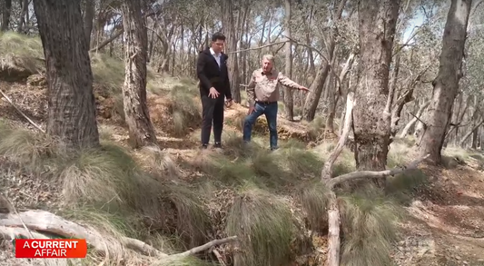 Queensland Prospectors Face New Access Challenges