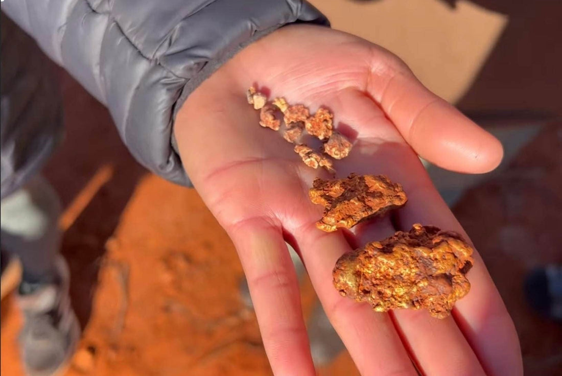 Unearthing Treasures with Minelab Metal Detectors