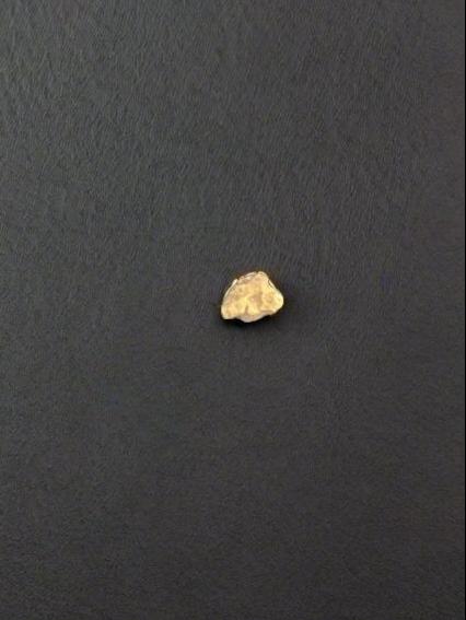 Gold Nugget 0.573 Grams