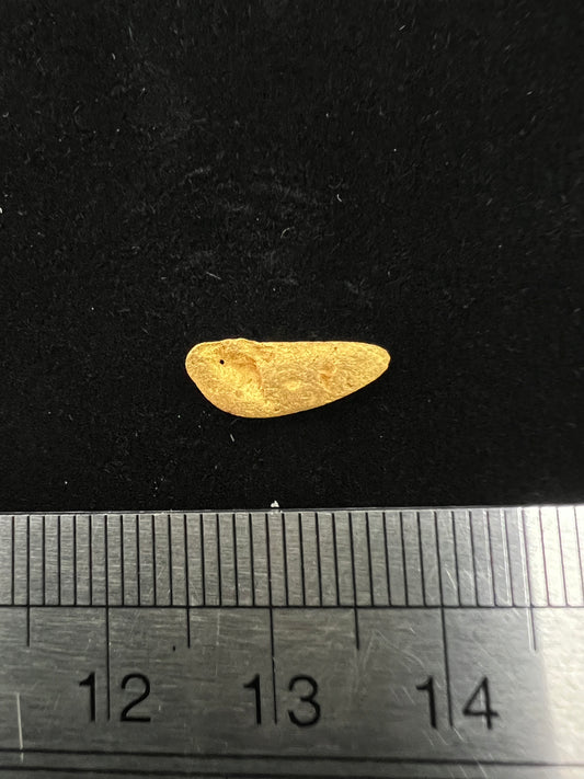 Gold Nugget 0.70 Grams