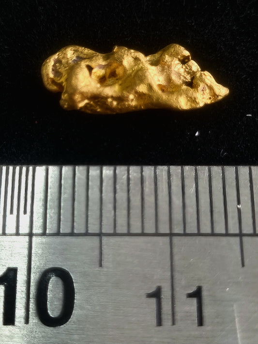 Gold Nugget 1.76 Grams (Pick up Only)
