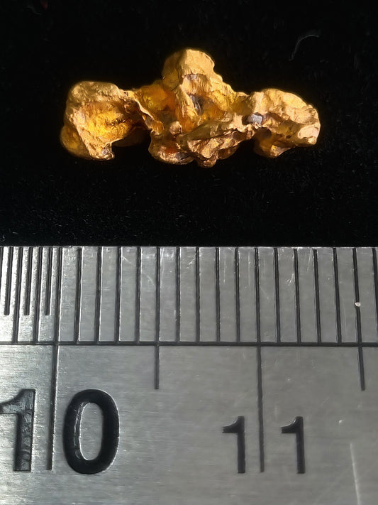 Gold Nugget 1.4 Grams (Pick up Only)
