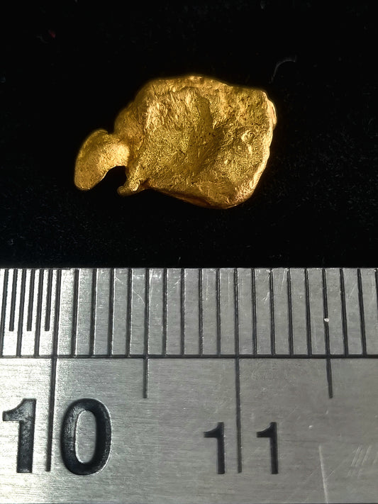 Gold Nugget 1.82 Grams (Pick up Only) 4