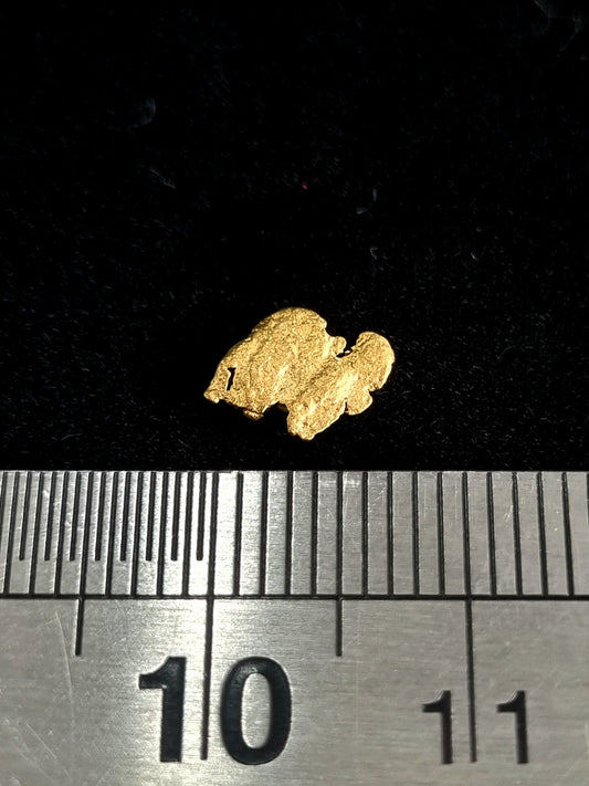 Gold Nugget 0.27 Grams