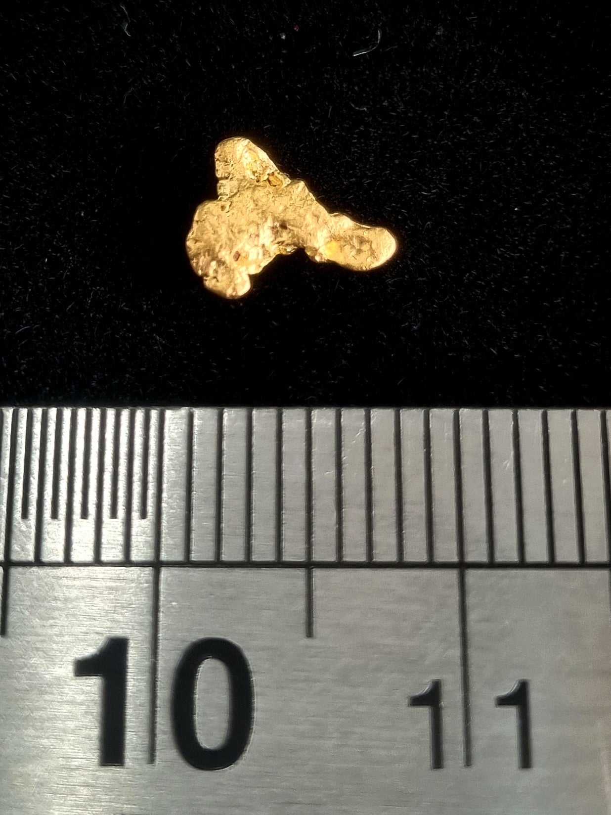 Gold Nugget 0.32 Grams