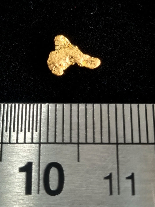 Gold Nugget 0.32 Grams