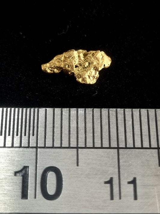 Gold Nugget 0.42 Grams