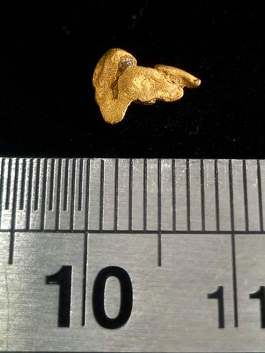 Gold Nugget 0.48 Grams