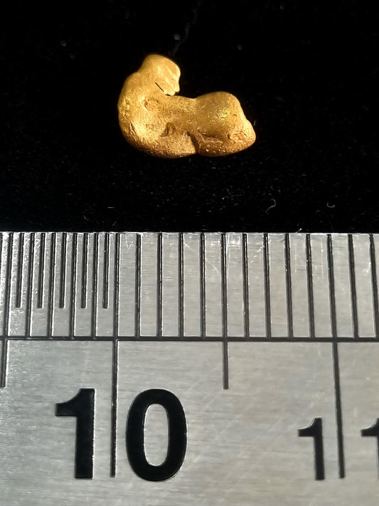 Gold Nugget 0.46 Grams