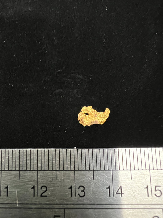 Gold Nugget 0.30 Grams