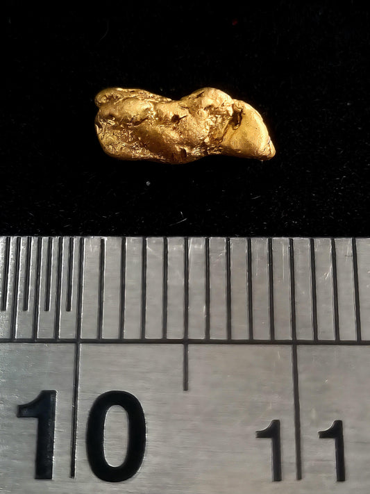 Gold Nugget 0.73 Grams