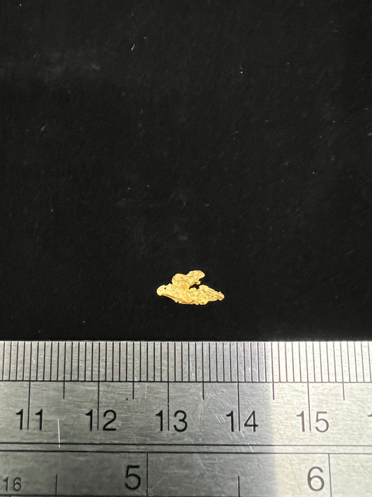 Gold Nugget 0.35 Grams