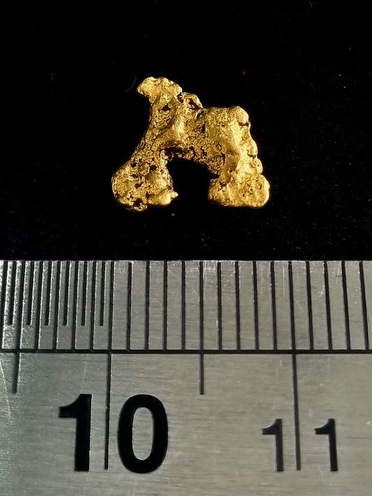 Gold Nugget 0.77 Grams