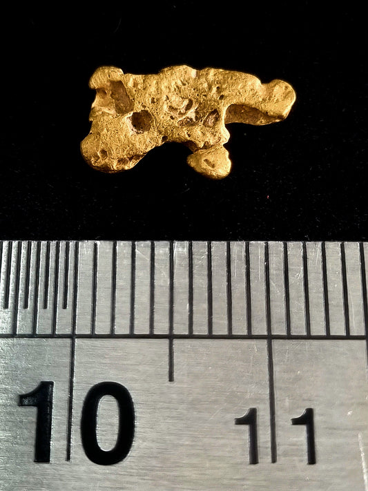 Gold Nugget 0.8 Grams