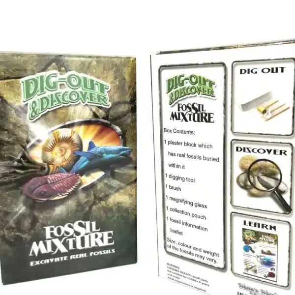 Dig Out & Discover Kit Large - Fossil Mixture-Lucky Strike Gold