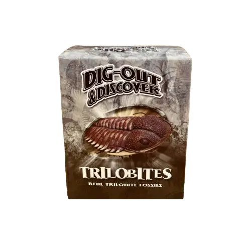 Dig Out & Discover Kit Mini - Trilobites-Lucky Strike Gold