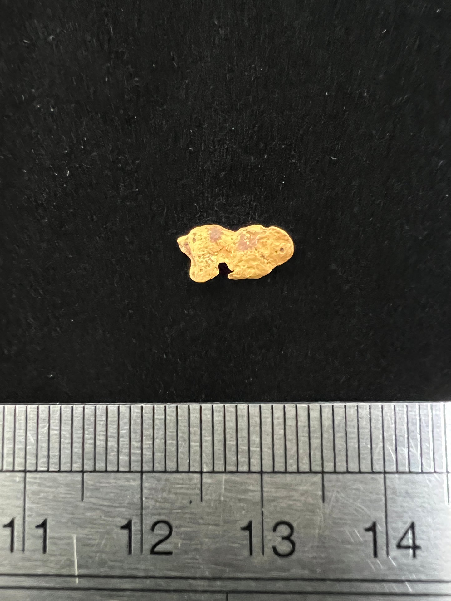 Gold Nugget 0.33 Grams
