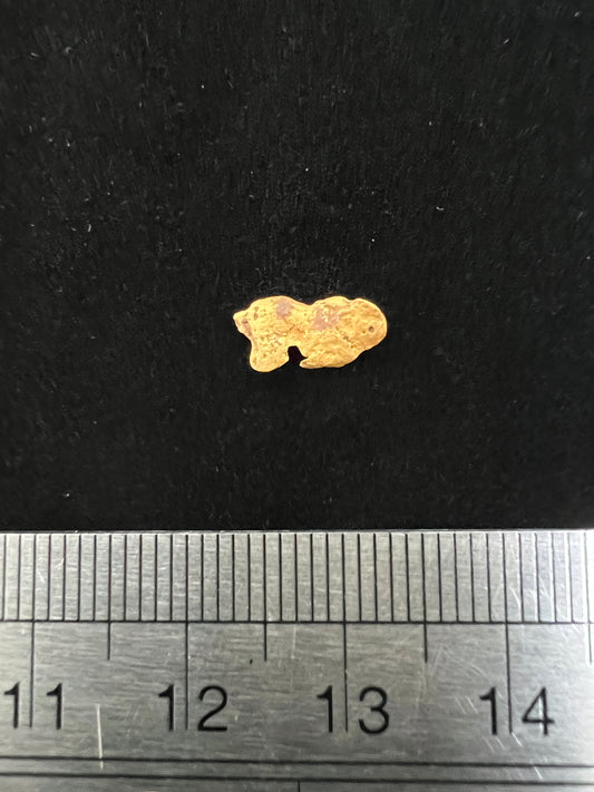 Gold Nugget 0.33 Grams