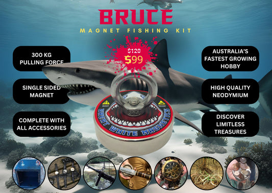 Fishing Magnet Kit - Bruce-Lucky Strike Gold