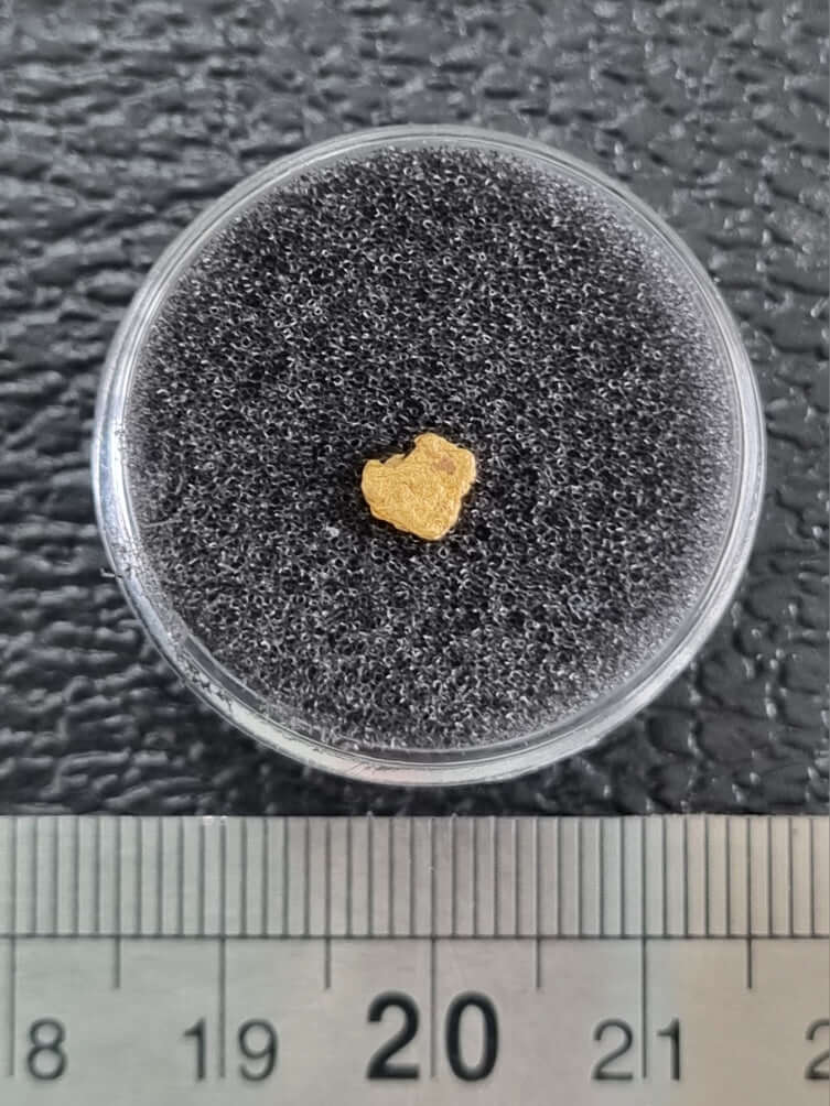 Gold Nugget 0.23 Grams 1225(2) Lucky Strike Gold