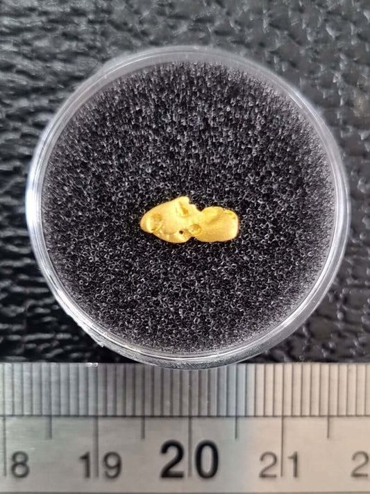 Gold Nugget 0.32 Grams 1225 Lucky Strike Gold