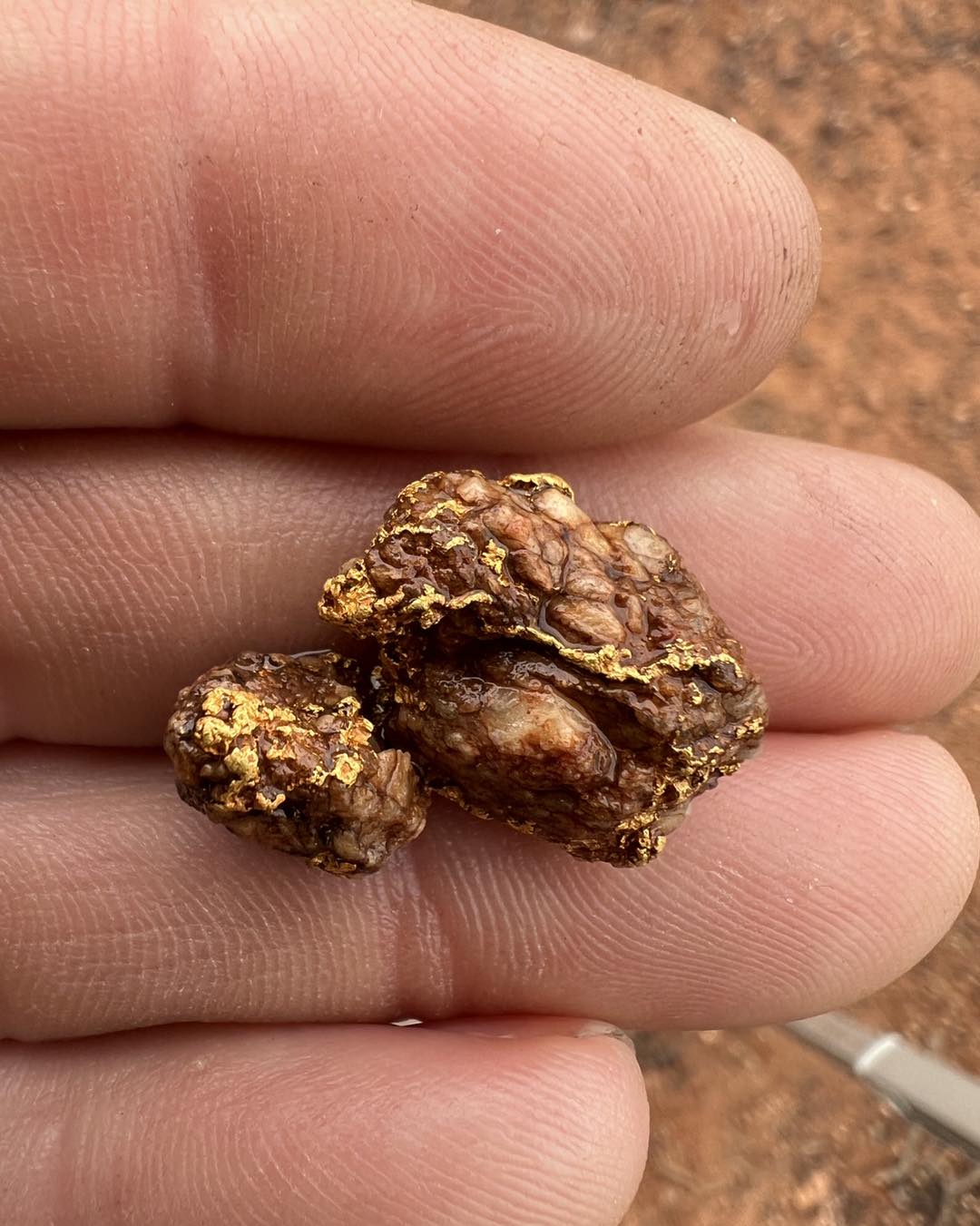 Detail of a gold nugget after being wet