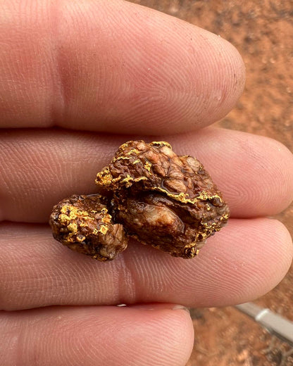 Detail of a gold nugget after being wet