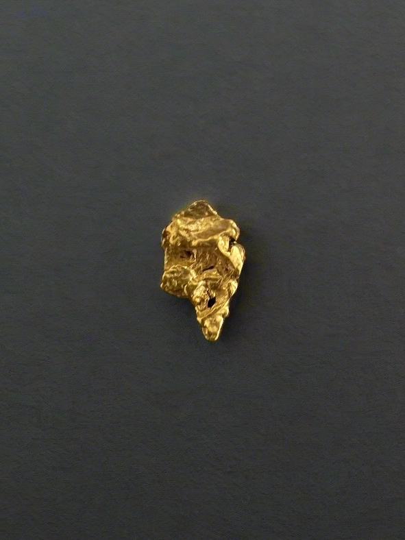 Gold Nugget 0.348 Grams