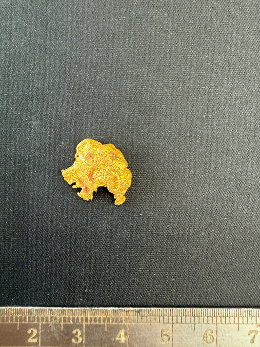 Gold Nugget 4.26 Grams WILD BOAR RUNNING (Pick Up Only)