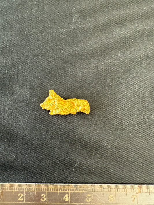 Gold Nugget 3.79 Grams Corgi (Pick Up Only)