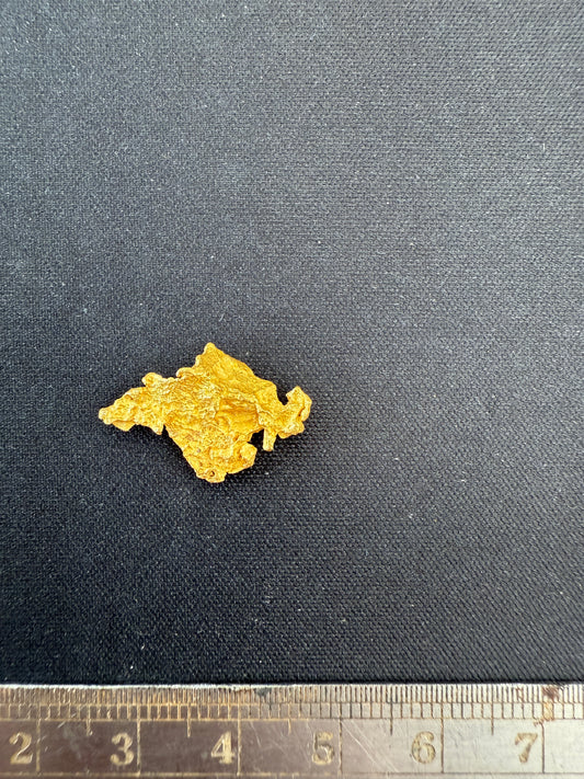 Gold Nugget 2.39 Grams HANGING BAT (Pick Up Only)