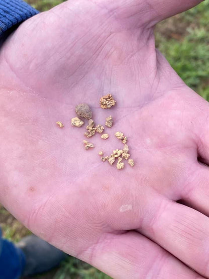 Prospector showing gold in his hand