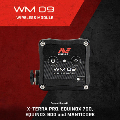 Wireless Audio Module WM09 - EQ7/9/Manticore-Lucky Strike Gold