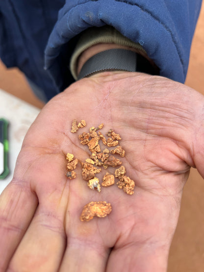 Gold nuggets in hand by customer in Western Australia