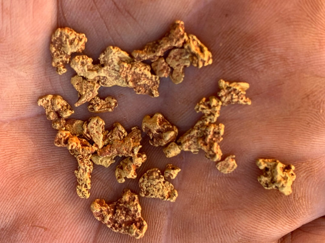 Western australia gold nuggets in hand