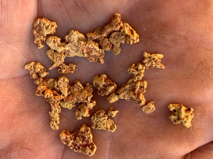 Western australia gold nuggets in hand